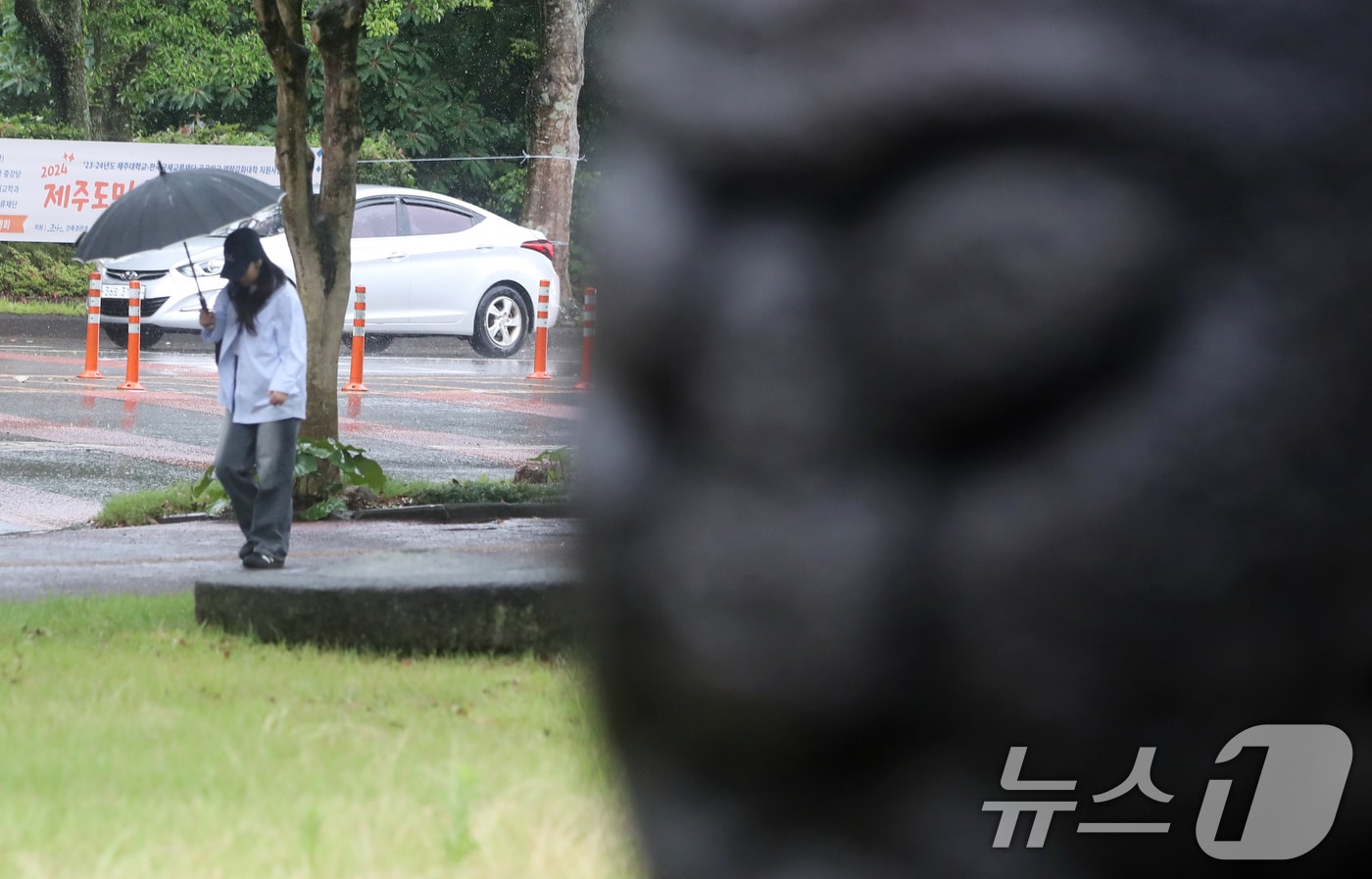 비 내리는 제주(자료사진)/뉴스1