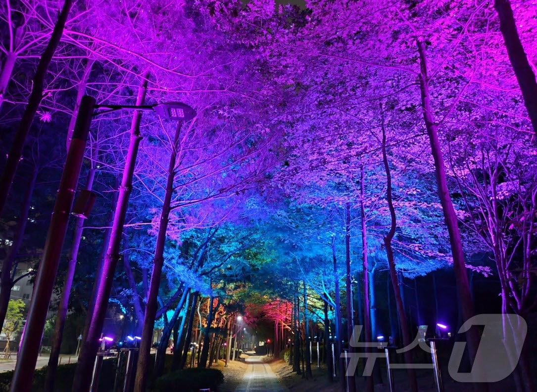 석남이음숲 야간조명(인천 서구 제공)/뉴스1