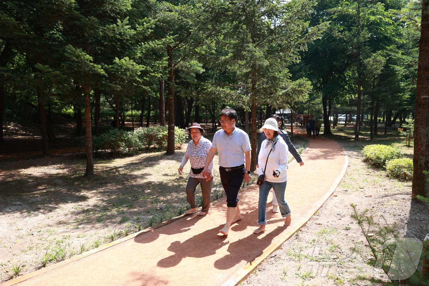 강원 영월군이 20일 ‘장릉 생명의 숲’에 맨발로 걸을 수 있는 ‘어싱’&#40;earthing&#41; 길을 마련해 개장한 가운데 최명서 영월군수&#40;가운데&#41;가 시민들과 그 길을 걷고 있다. &#40;영월군 제공&#41; 2024.6.20/뉴스1