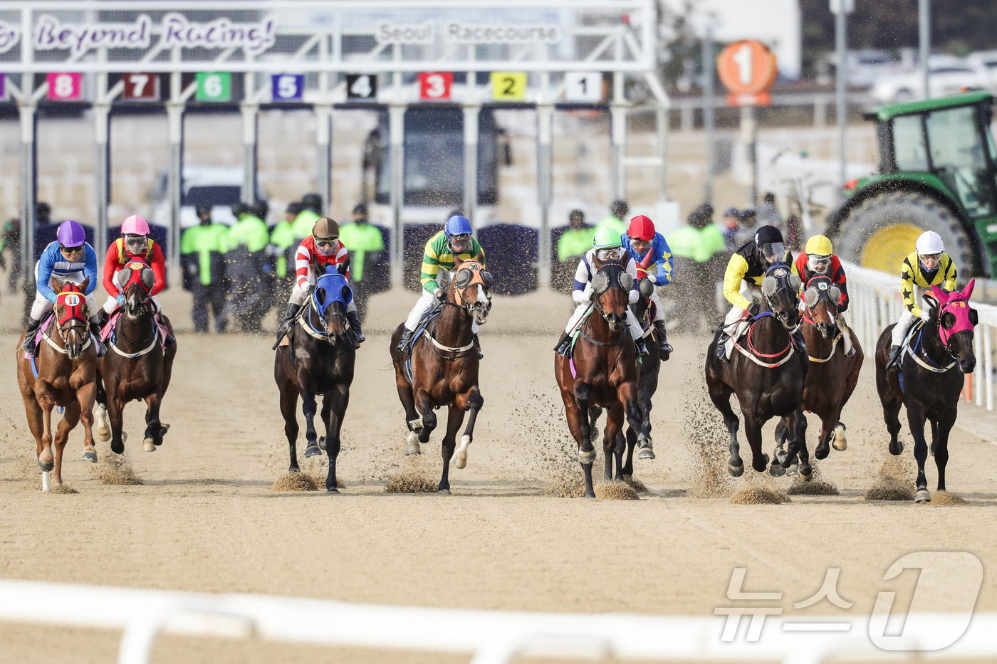 한국 마사회 경마 경주 장면 (한국마사회 제공) 