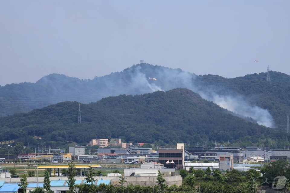 19일 오후 1시쯤 광주 북구 생용동의 한 야산에서 난 산불이 재발화해 산림 당국이 진화하고 있다.&#40;독자 제공&#41;2024.6.21/뉴스1