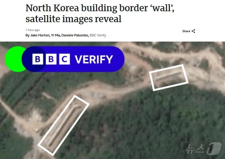 해당 기사 - BBC 갈무리