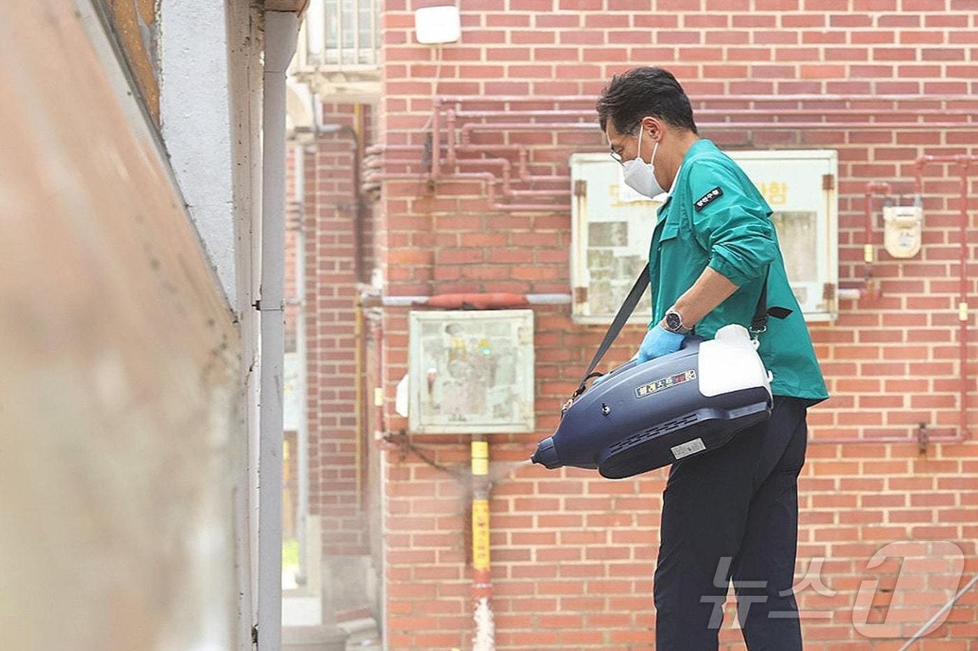 이기재 양천구청장이 직접 &#39;러브버그&#39; 방역에 나선 모습. &#40;양천구 제공&#41;ⓒ 뉴스1