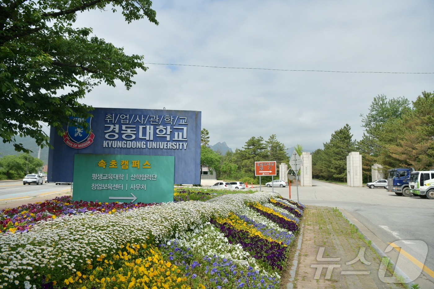 강원 속초 노학동에 위치한 경동대&#40;옛 동우대&#41;.&#40;속초시 제공&#41;