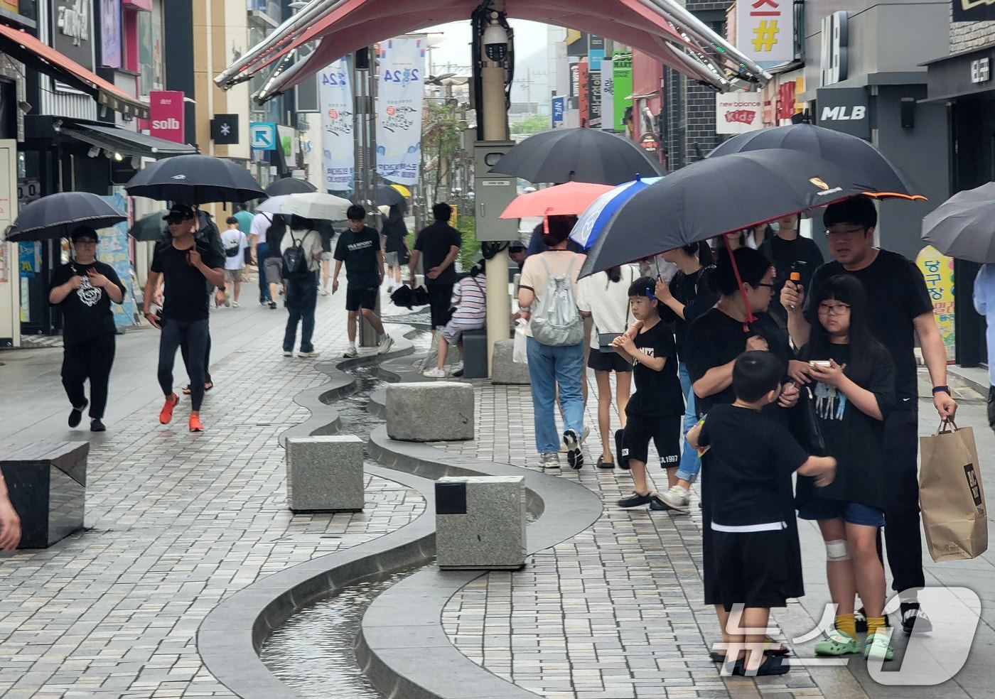 자료사진/뉴스1