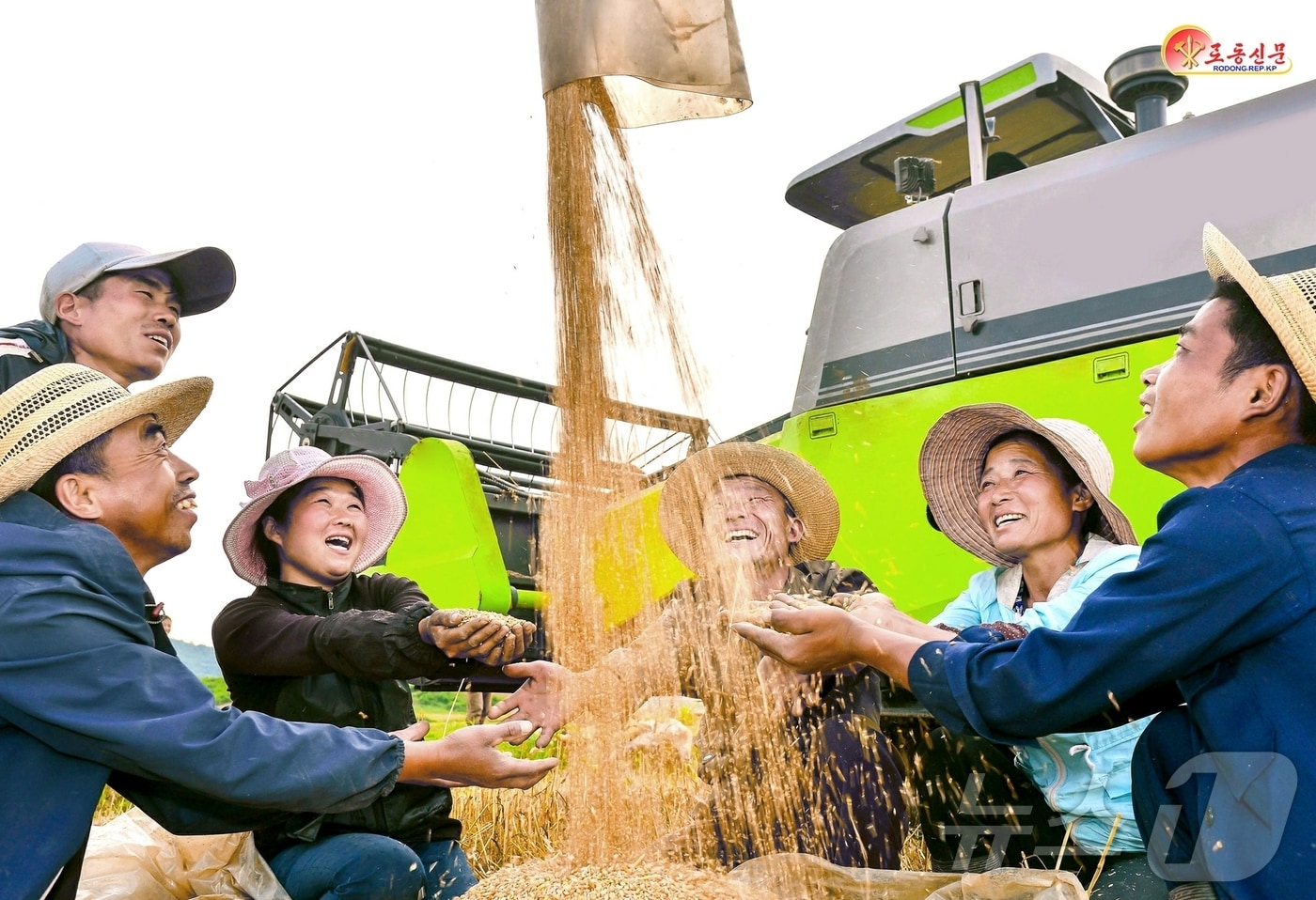 (평양 노동신문=뉴스1) = 북한 노동당 기관지 노동신문은 24일 "전국 각지에서 밀, 보리가을과 낟알털기가 힘있게 벌어지고 있다＂라고 보도했다. [국내에서만 사용가능. 재배포 금지. DB 금지. For Use Only in the Republic of Korea. Redistribution Prohibited] rodongphoto@news1.kr