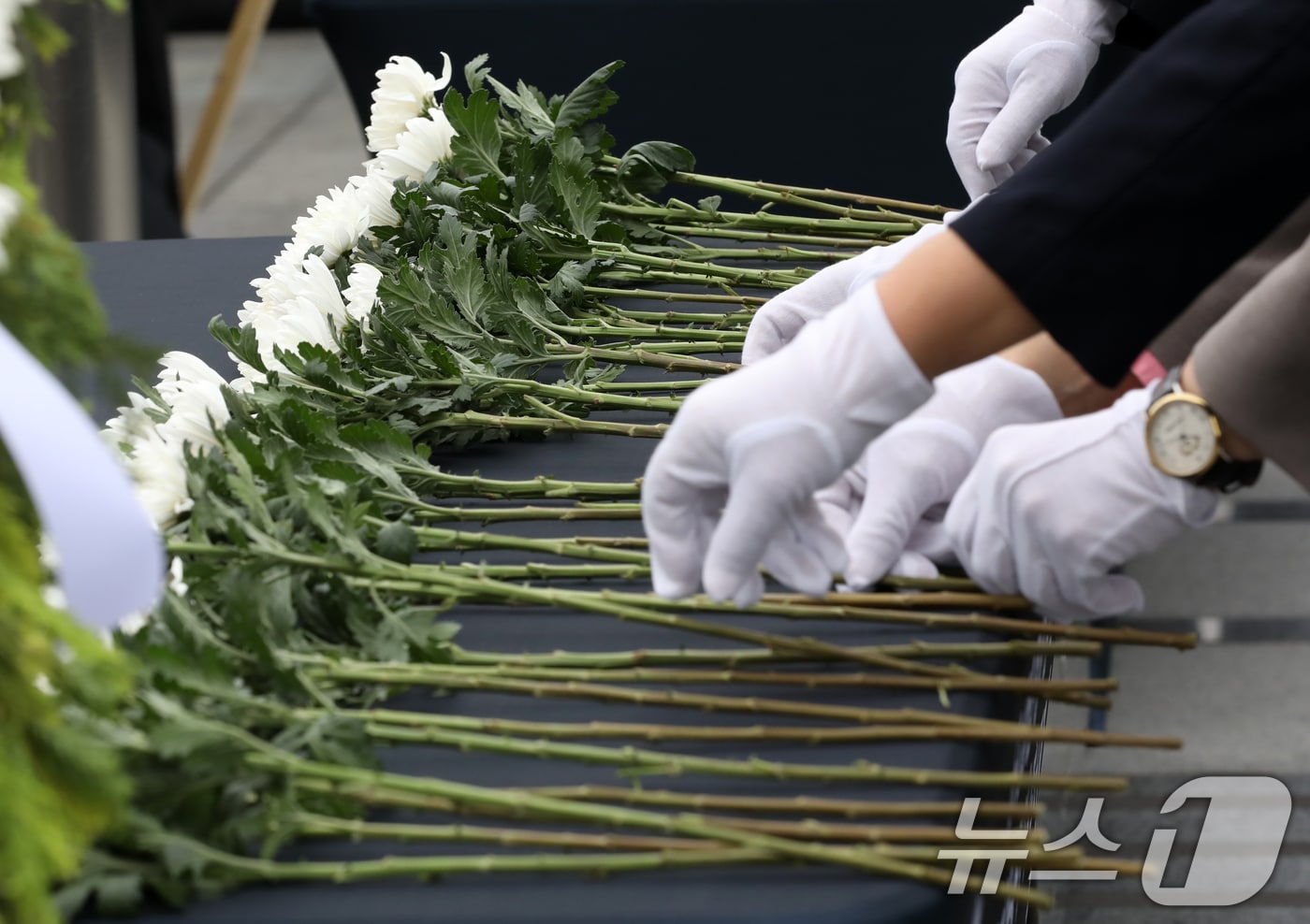 25일 부산 남구 유엔기념공원에서 열린 '제74주년 6.25전쟁 참전 유엔군 전몰용사 추모제'에서 참석자들이 헌화하고 있다. 2024.6.25/뉴스1 ⓒ News1 윤일지 기자