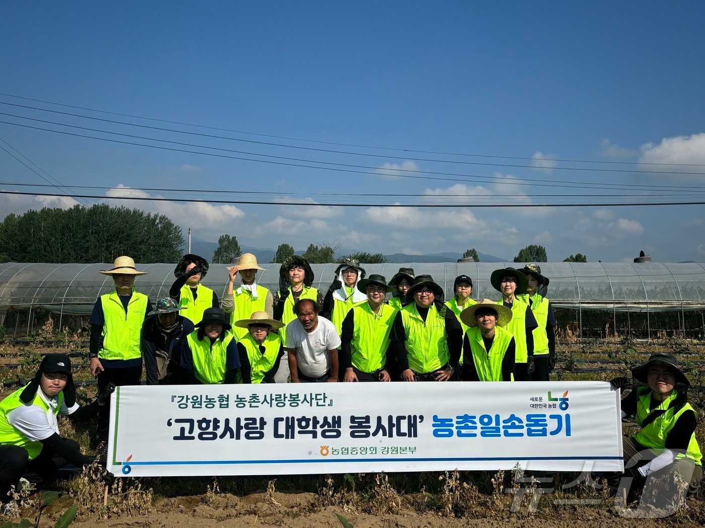 고향사랑 대학생 봉사대 농촌일손돕기.&#40;농협 강원본부 제공&#41;/뉴스1