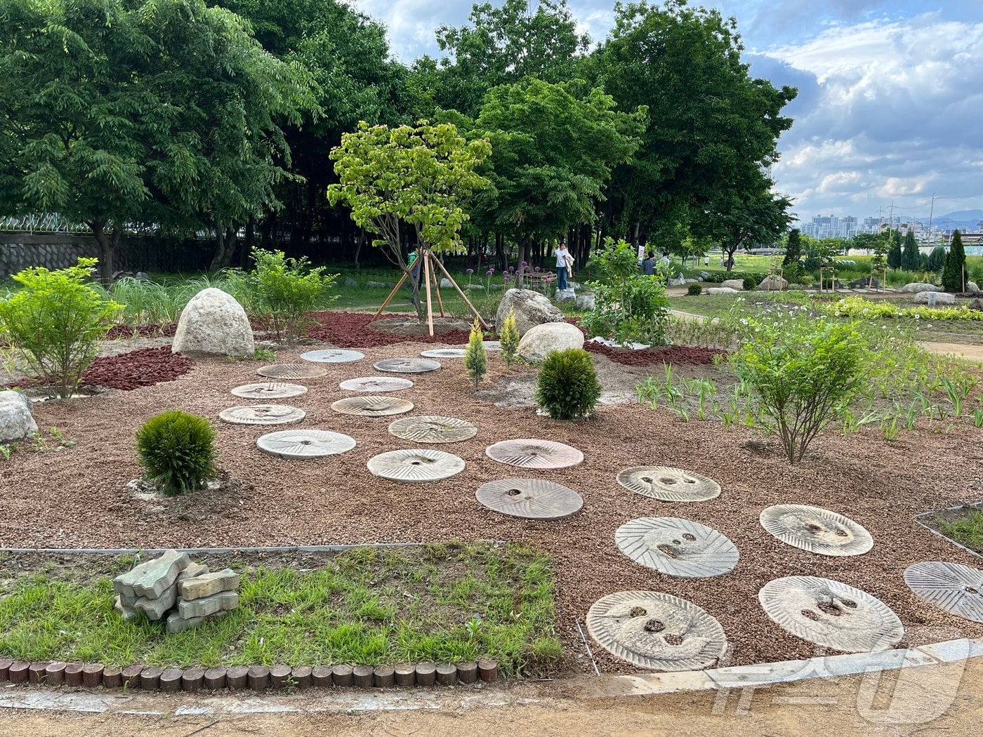 경산 옥곡동 남천둔치 야생화 공원(경산시 제공) 2024.6.29.뉴스1