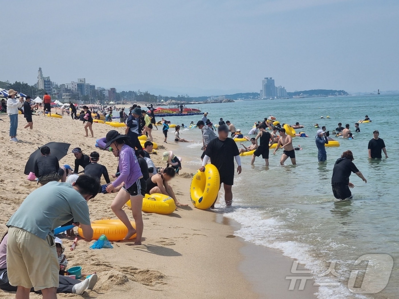 6월 29일 개장한 강원 강릉 경포해수욕장을 방문한 피서객들이 물놀이를 즐기고 있다. 2024.6.29/뉴스1 ⓒ News1 윤왕근 기자