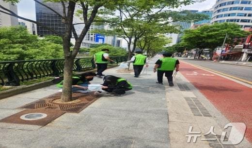 지난 달 20일 서울 YMCA가 종로~광화문 일대에서 줍깅 활동을 벌이는 모습. &#40;서울시 제공&#41;ⓒ 뉴스1