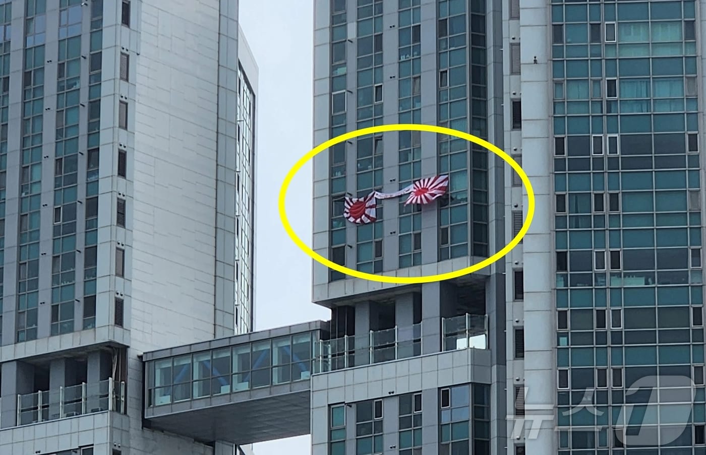 (온라인 커뮤니티)