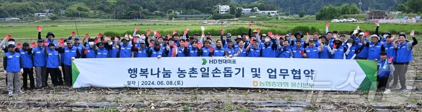 HD현대미포 임직원들이 울주군 농가에서 양파 수확 봉사활동을 하고 있다. &#40;HD현대미포 제공&#41;