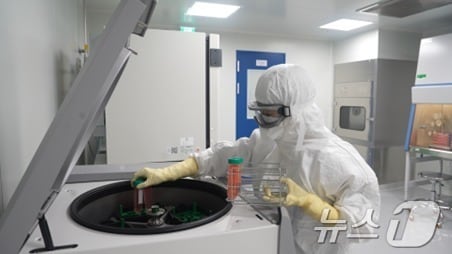 항암면역세포치료제 개발 전문회사 박셀바이오.. /뉴스1