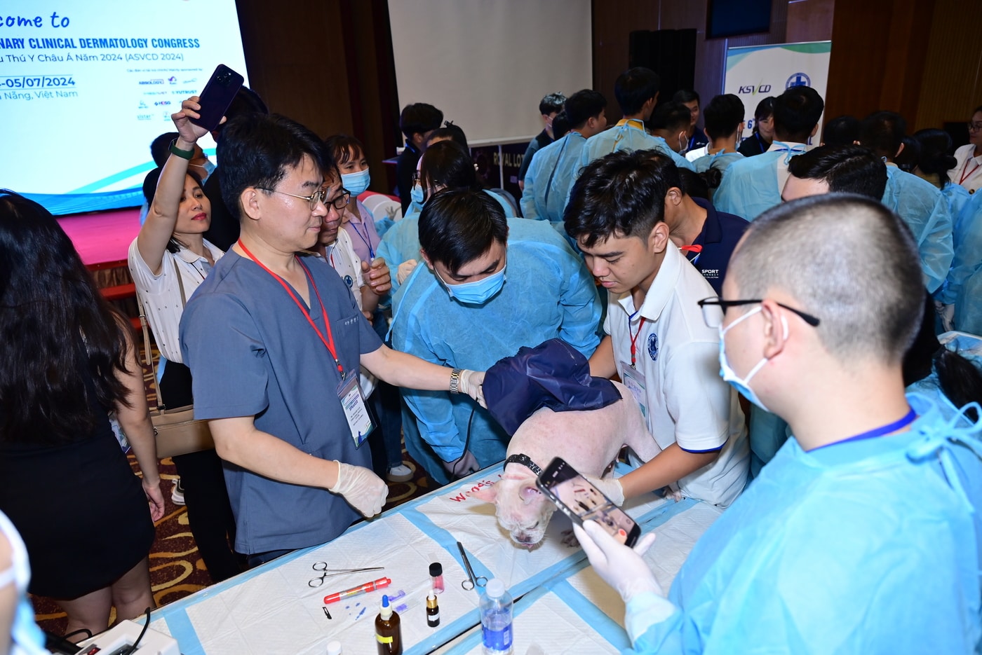 "이론부터 임상 실습까지"…제6회 아시아수의임상피부학회 '성료' - 뉴스 썸네일 이미지