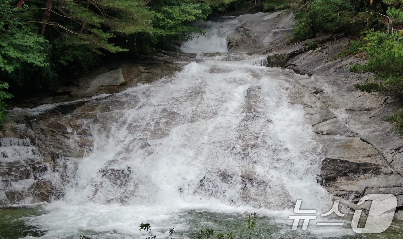 경남 거창군 위천면 상천리 금원산자연휴양림의 계곡 (거창군 제공) 2024.7.11/뉴스1