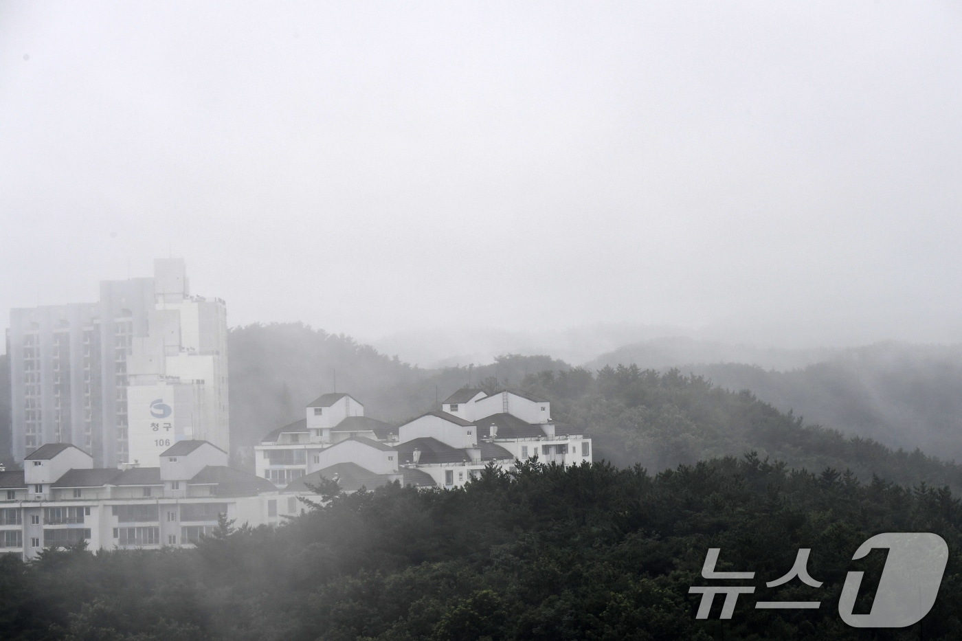 장맛비가 내린 지난 14일 포항시 북구 장성동 아파트 단지 뒷산에 짙은 안개가 껴있다. 2024.7.14/뉴스1 ⓒ News1 최창호 기자