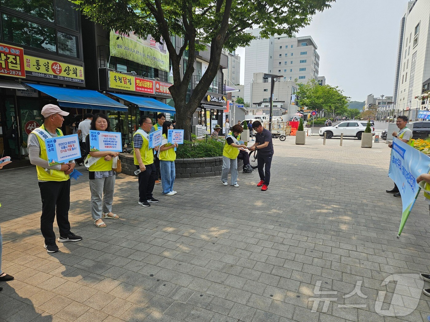 강릉시, 펫티켓·유기동물 입양홍보 캠페인.&#40;강릉시 제공&#41; 2024.7.15/뉴스1