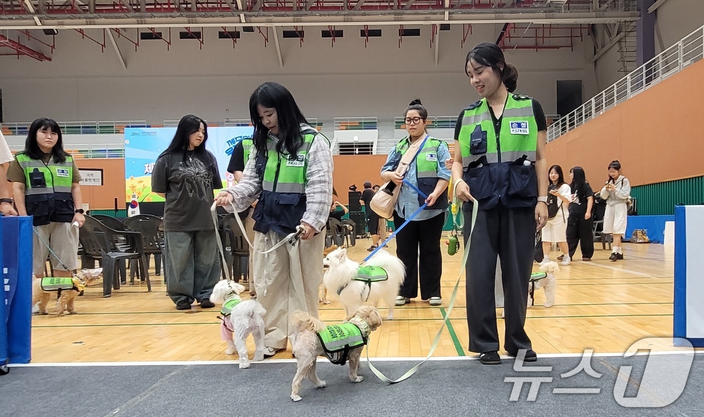 작년 7월 15일 오후 제주시 복합체육관에서 열린 댕댕이 안전지킴이 발대식에서 반려견과 반려인들이 모의 순찰을 하고 있다. 2024.7.15/뉴스1 ⓒ News1 고동명 기자