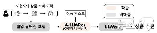 연구팀이 개발한 모델의 개요.&#40;KAIST 제공&#41;/뉴스1