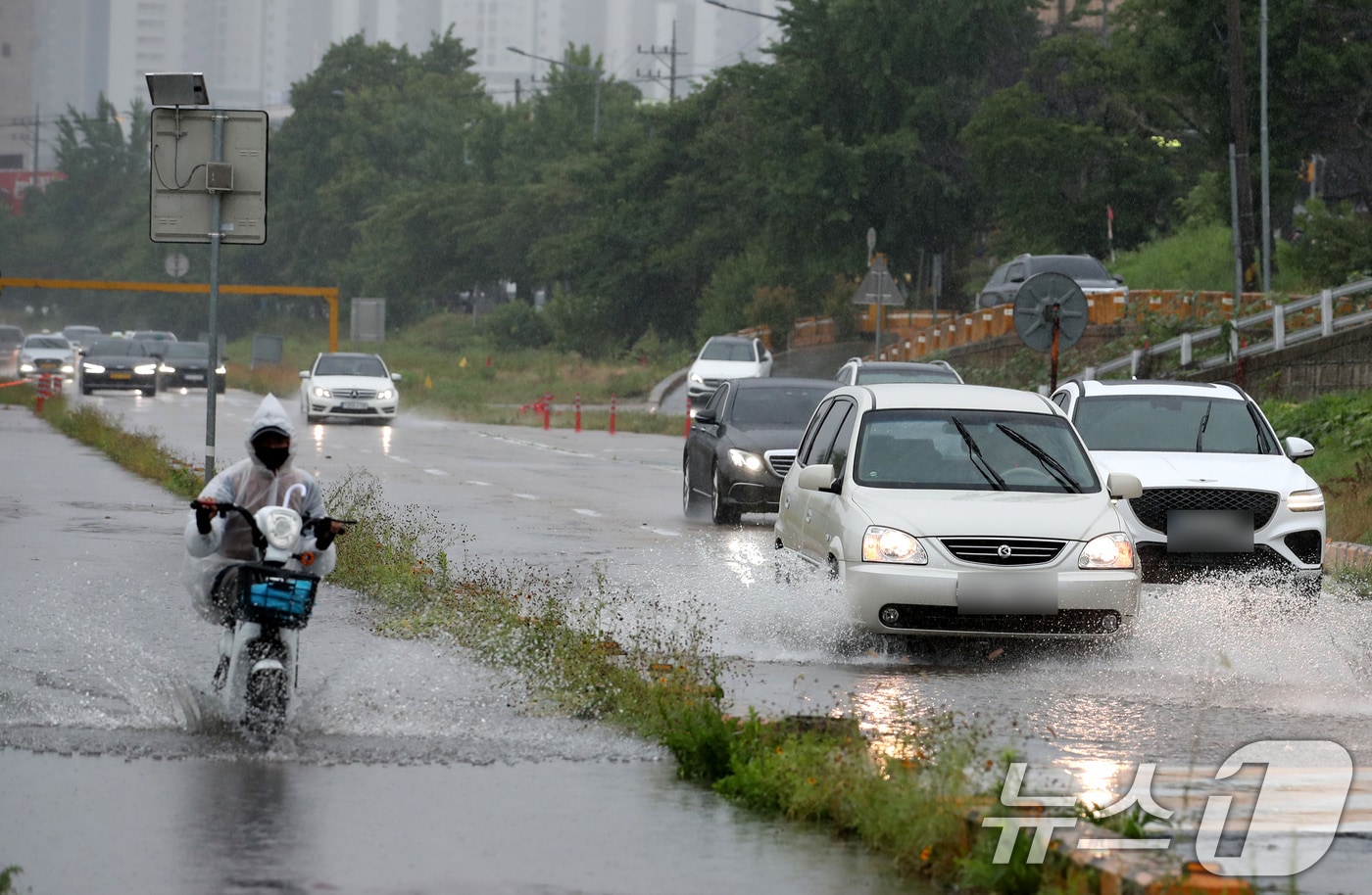 14일 대전·충남은 새벽부터 아침 사이 충남권에 시간당 10~30㎜의 강한 비가 내릴 것으로 예보됐다. 대전 중구 하천도로에서 차량이 물보라를 일으키며 주행하고 있다. /뉴스1 ⓒ News1 김기태 기자