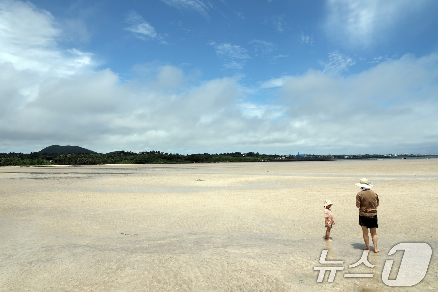 제주의 파란 하늘(자료사진)/뉴스1