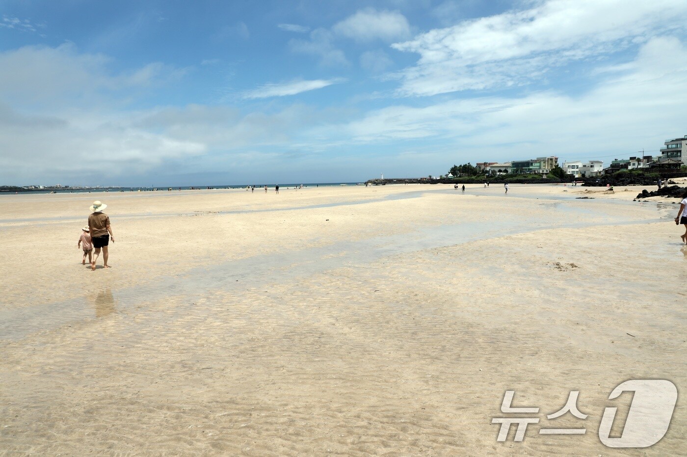 표선해수욕장(자료사진)/뉴스1