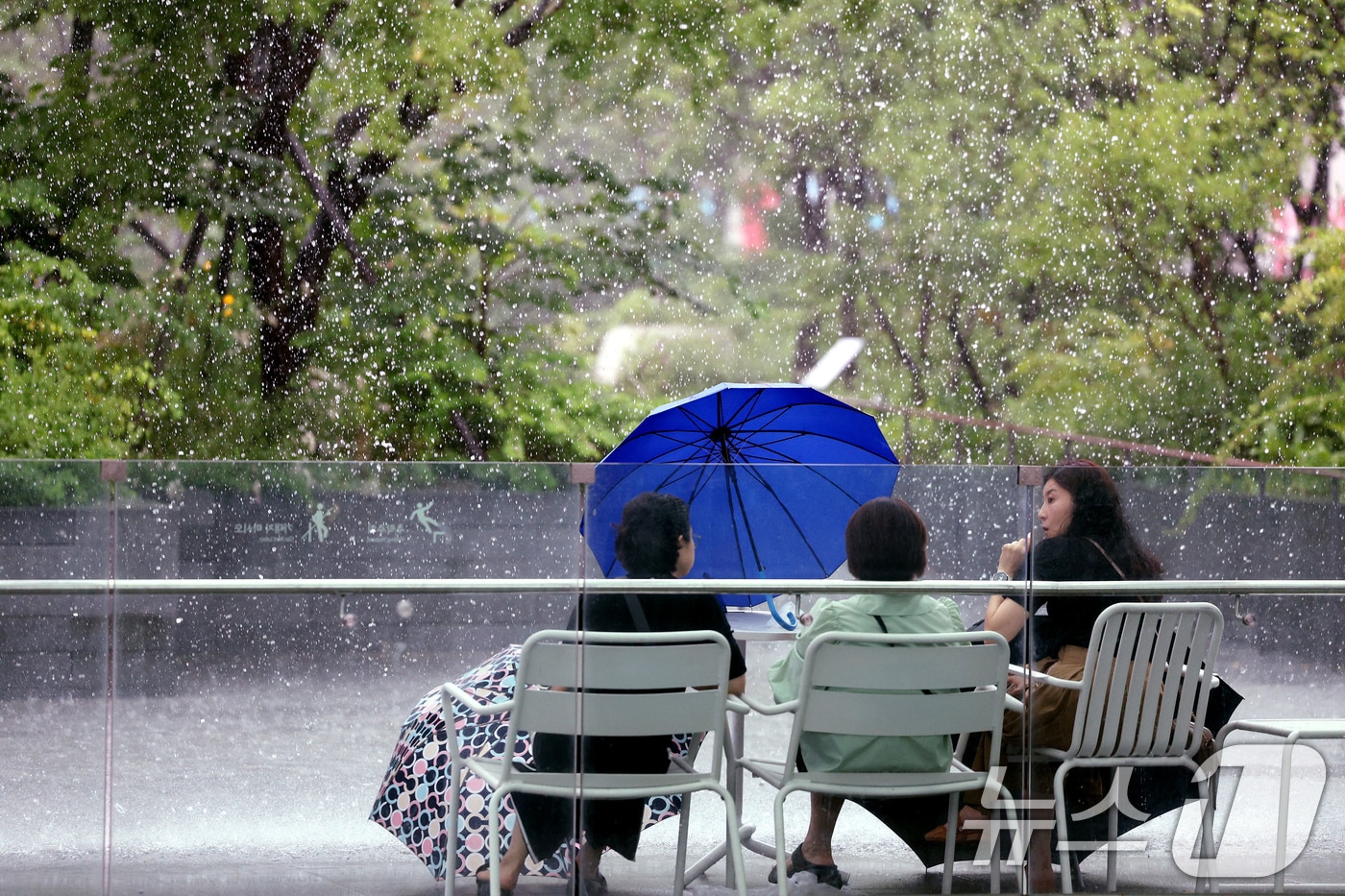 비 자료사진 / 뉴스1
