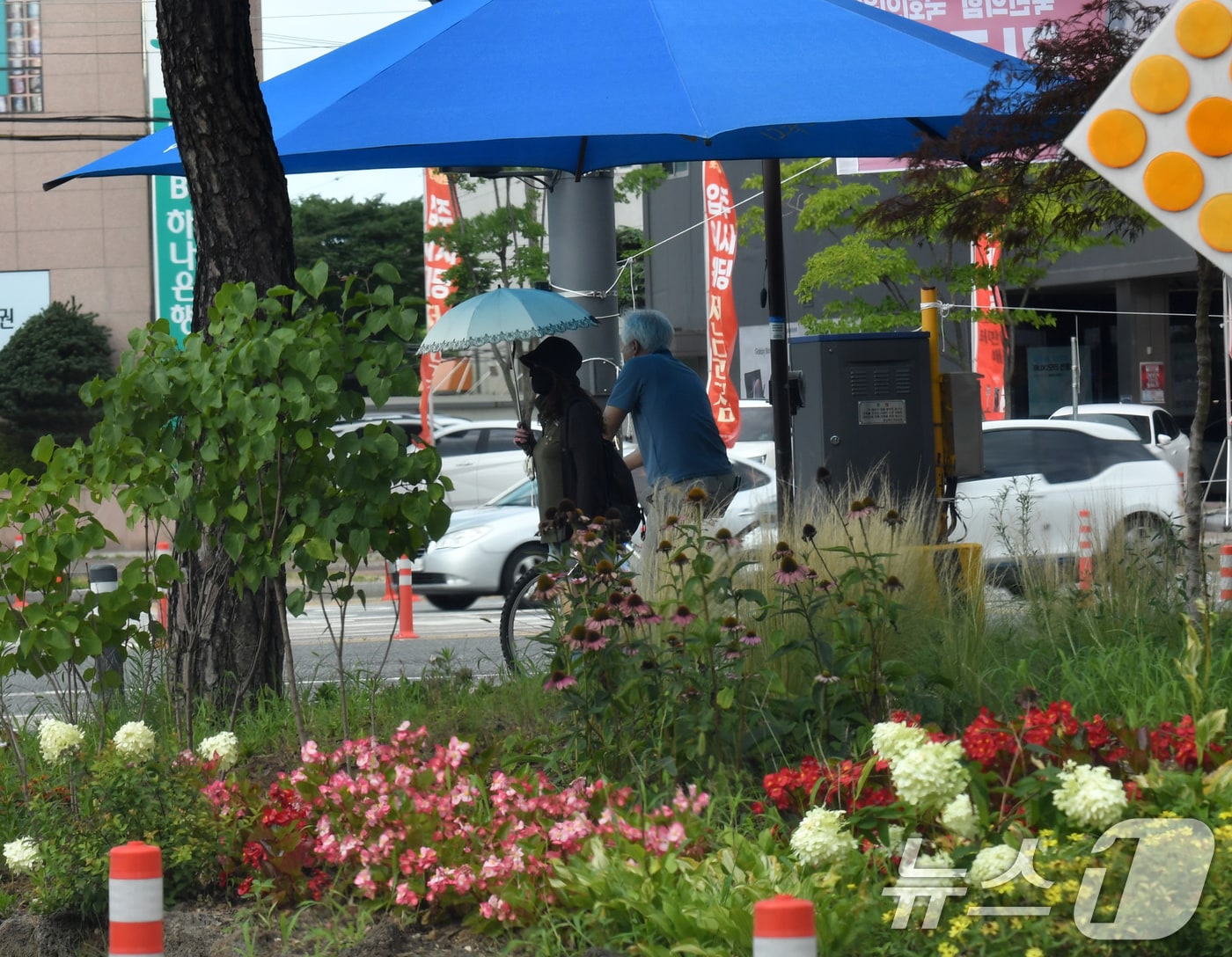 (사진은 기사 내용과 무관함) / 뉴스1 ⓒ News1