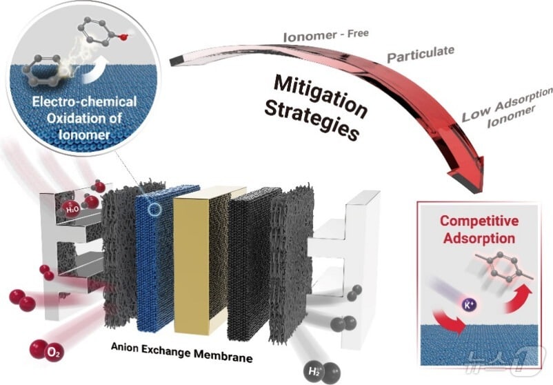 이오노머 전기화학적 산화 방지 전체 전략 모식도. &#40;UNIST 제공&#41;