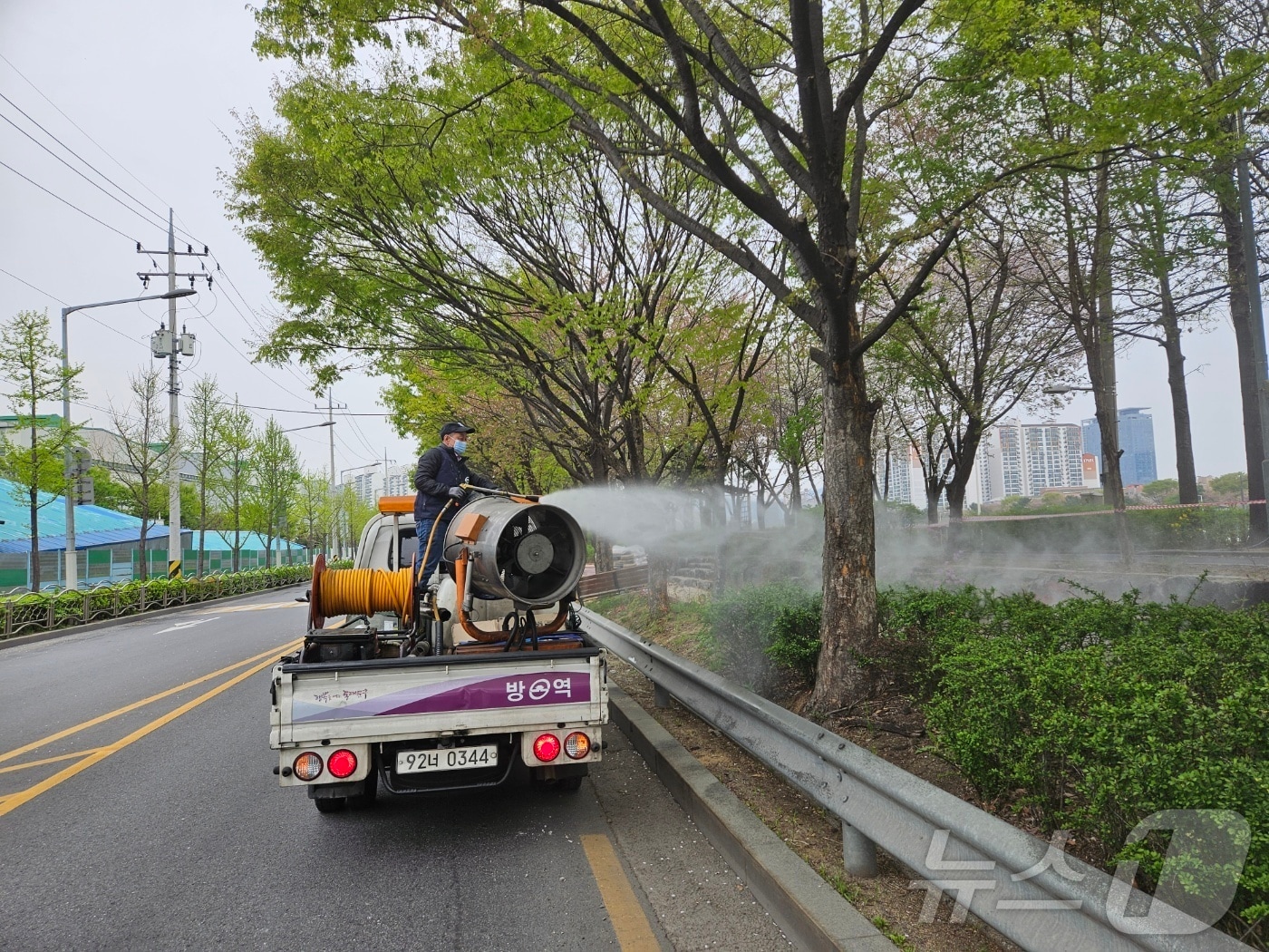 &#40;서울 동대문구 제공&#41; 