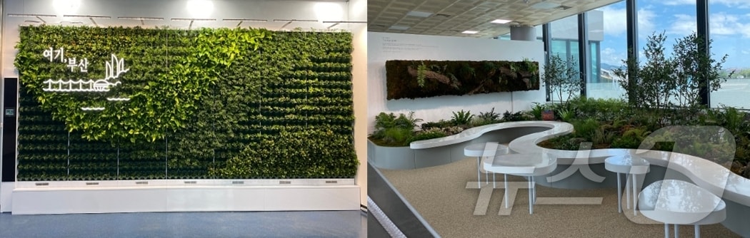 김해국제공항 국내선 1층 도착장(왼쪽부터), 김해국제공항 국내선 2층 탑승장 정원(부산시청 제공)