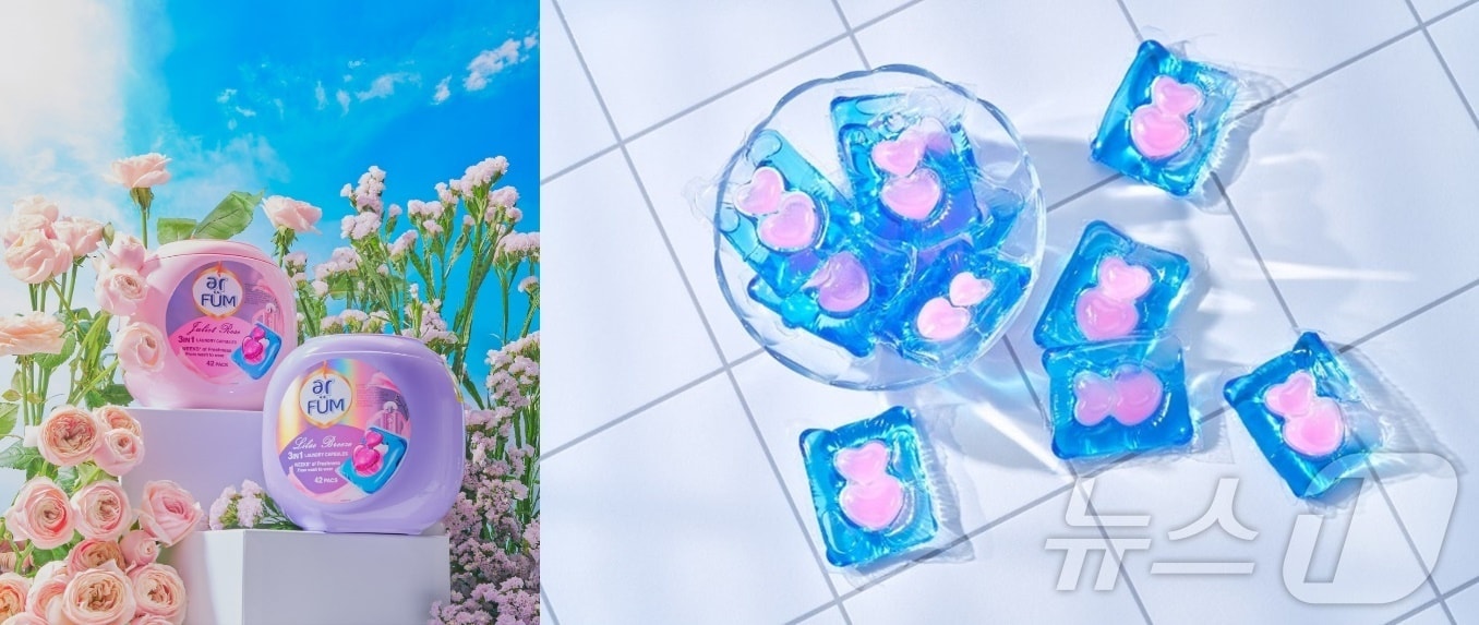 (웰스로만센트라린코리아 제공)