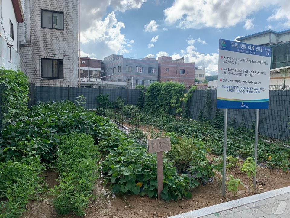 경기 동두천시는 빈집을 철거 후 주민들을 위한 공용 텃밭으로 활용하고 있다. &#40;경기도 제공&#41;