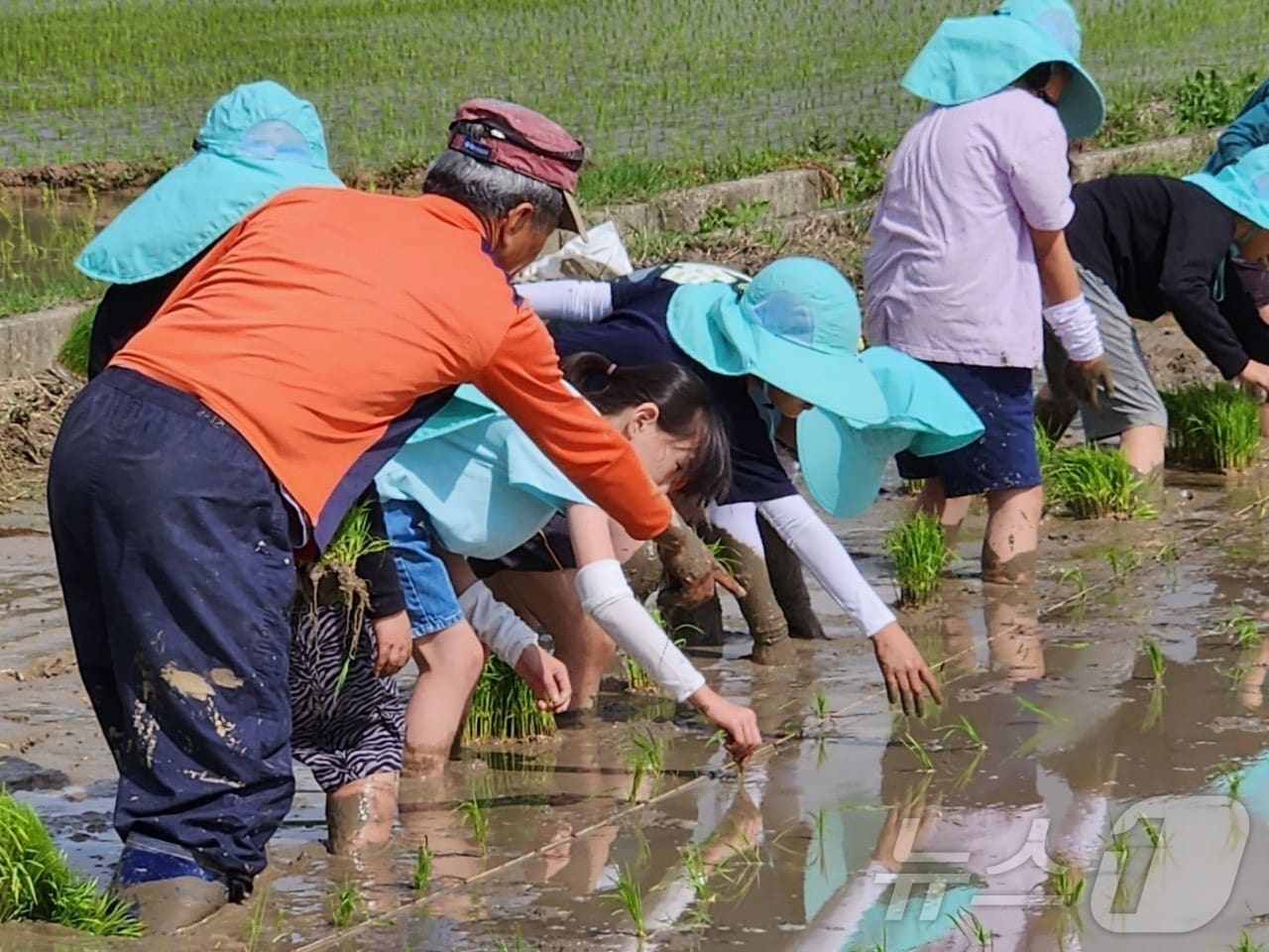 정읍시가 농업인들의 편의를 위해 2월 한 달간 비대면 공익직불금 신청을 받는다. 모내기 행사 자료사진. /뉴스1