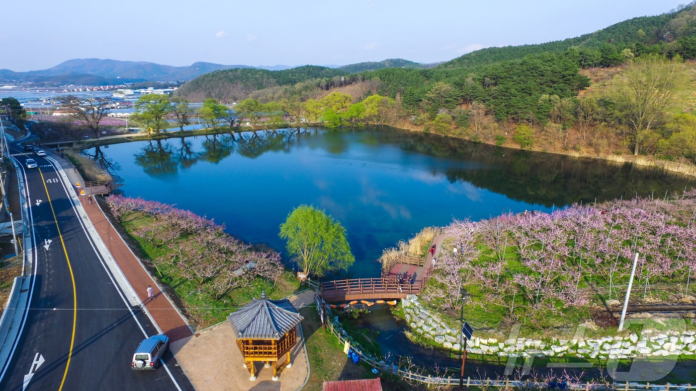 경산 반곡지 전경./뉴스1