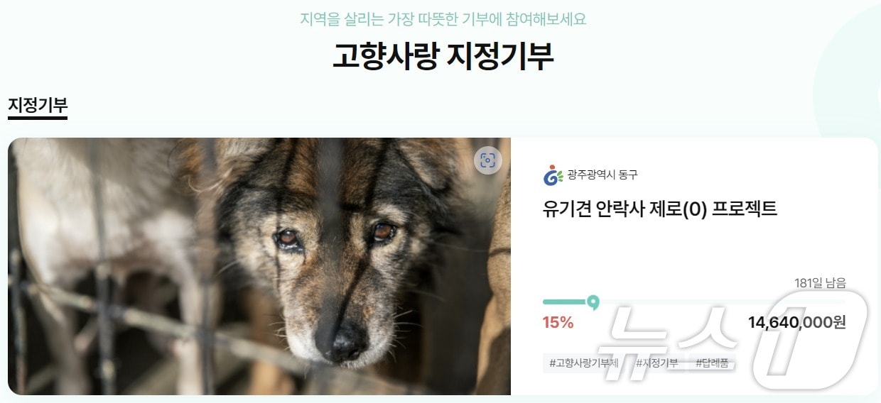 광주 동구 고향사랑기부금 신규 지정 기부 '유기 동물 구조 보호' 사업 모금. (위기브 갈무리)/뉴스1