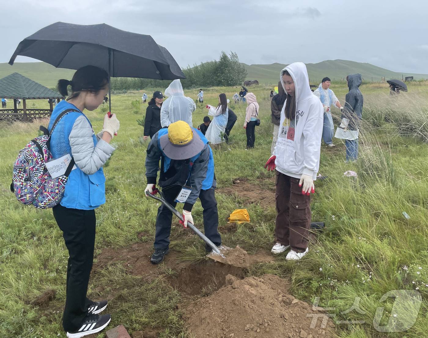 영암 청소년 몽골 나무심기 &#40;영암군 제공&#41;/뉴스1 