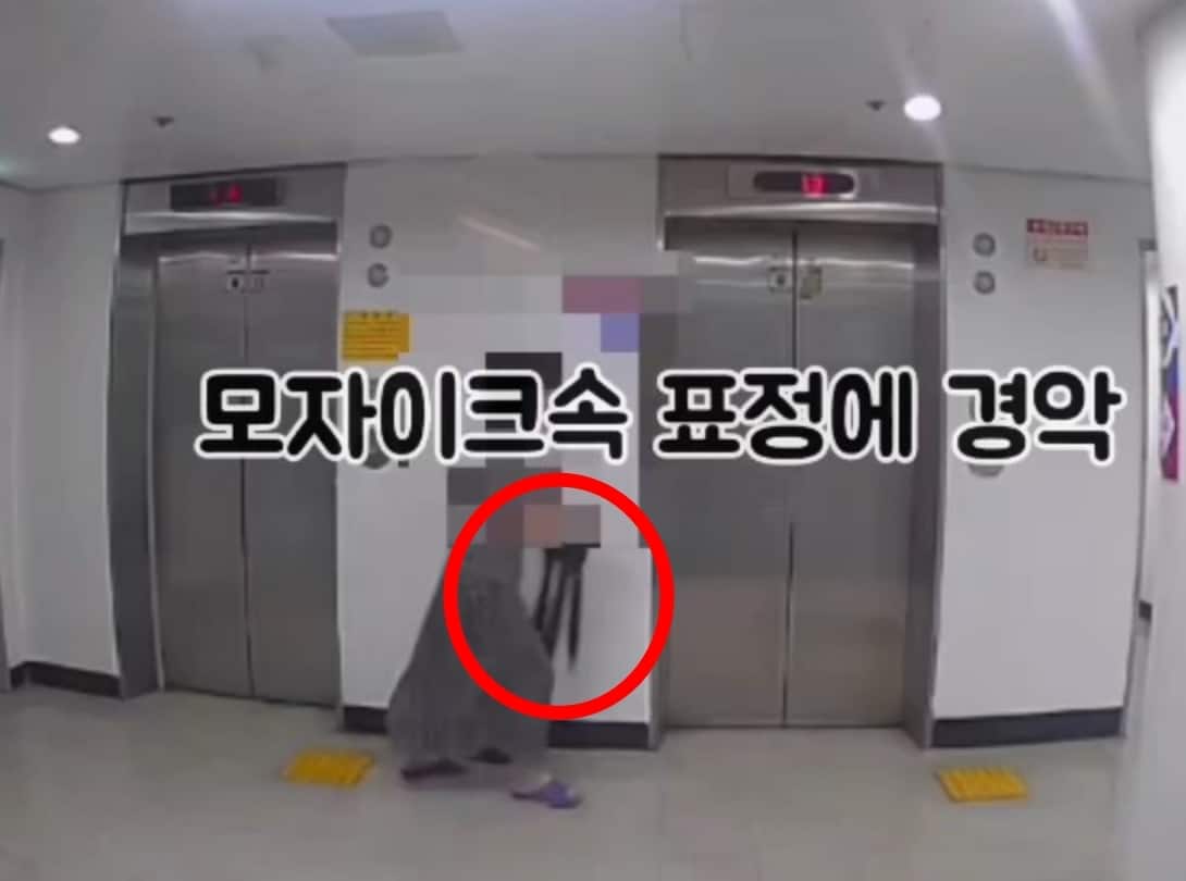 (온라인 커뮤니티)