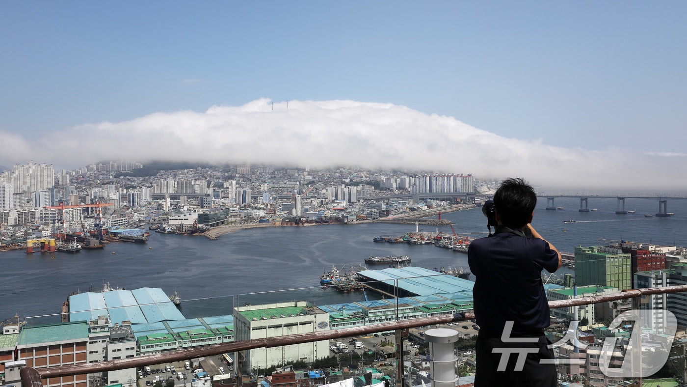  부산 영도구 봉래산 일대가 짙은 해무로 뒤덮여 이색적인 풍경을 연출하고 있다. 2024.7.5/뉴스1 ⓒ News1 윤일지 기자