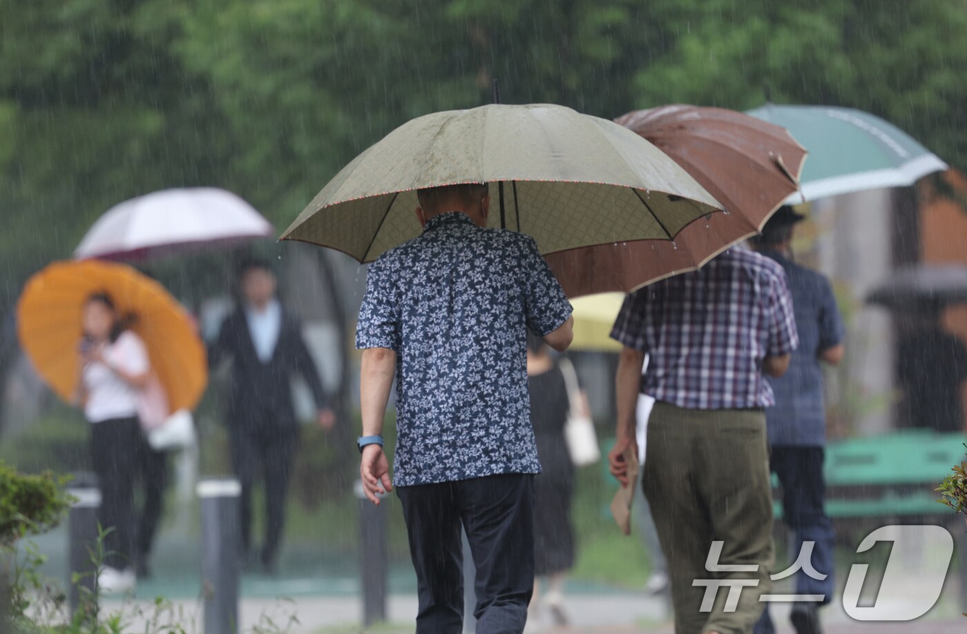 8일 광주 서구 한 길가에서 시민들이 우산을 쓴 채로 이동하고 있다. 2024.7.8/뉴스1 ⓒ News1 김태성 기자