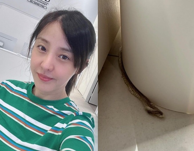 (인스타그램 갈무리)