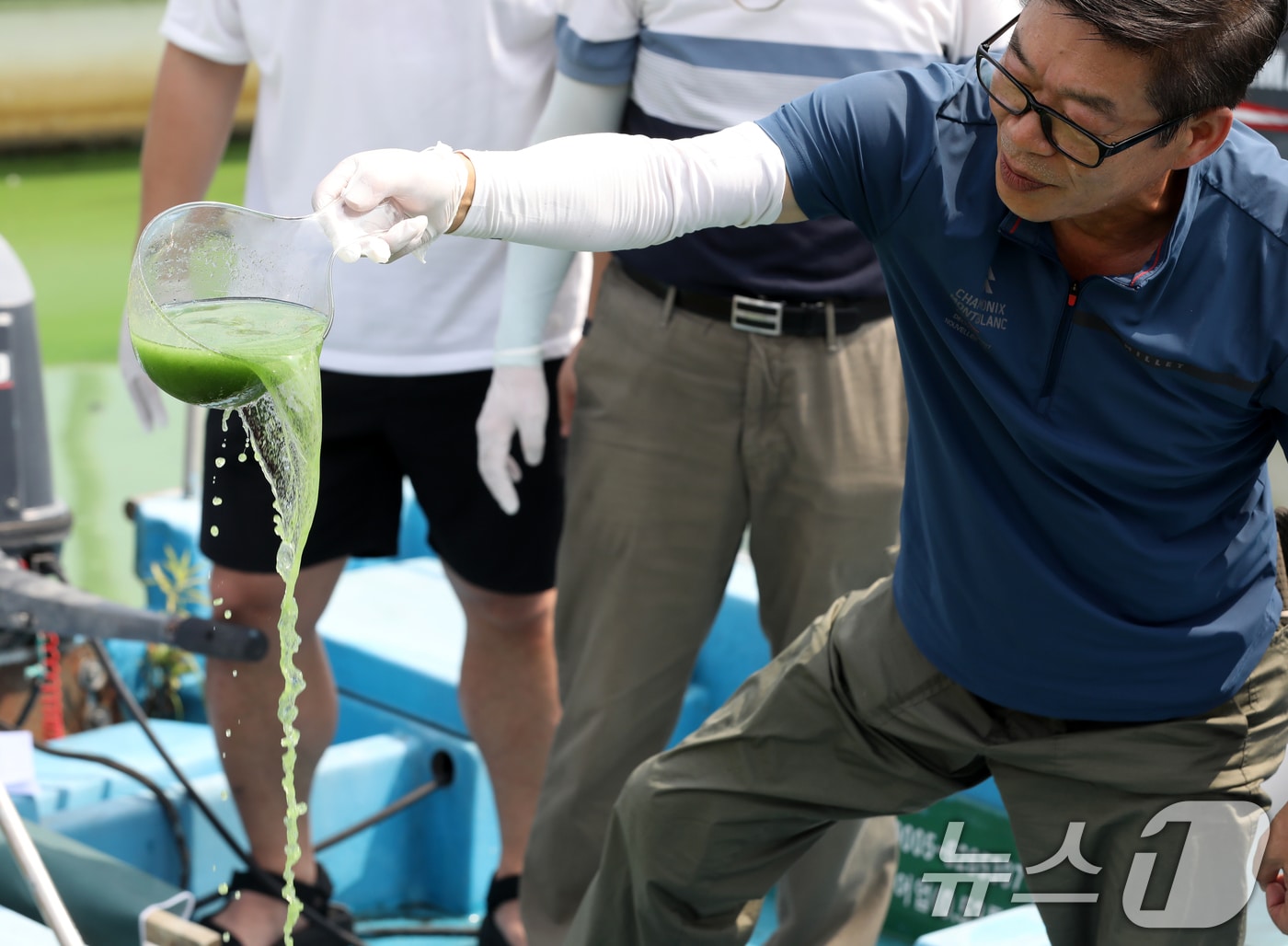 낙동강 녹조. <자료사진> 2024.8.19 ⓒ 뉴스1 윤일지 기자