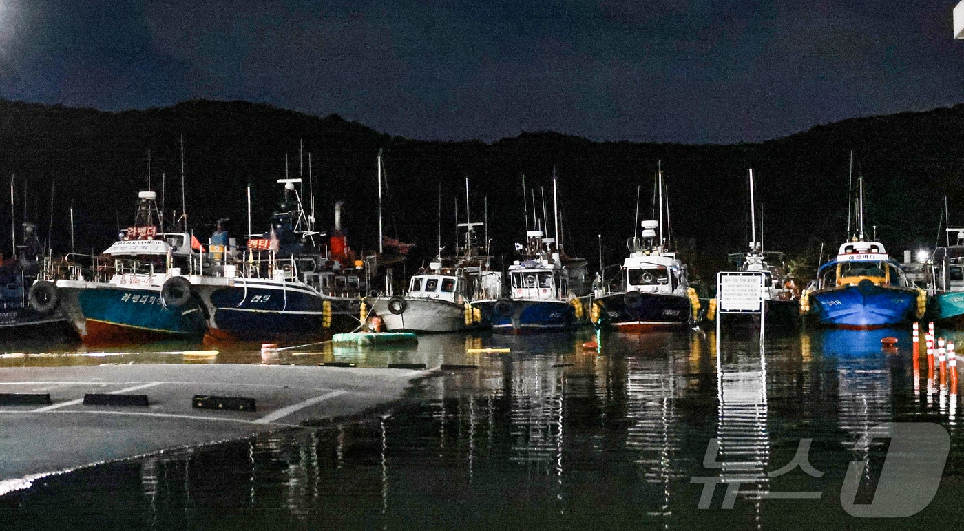 충남 보령시 오천항에 정박된 어선들.(뉴스1DB)/뉴스1