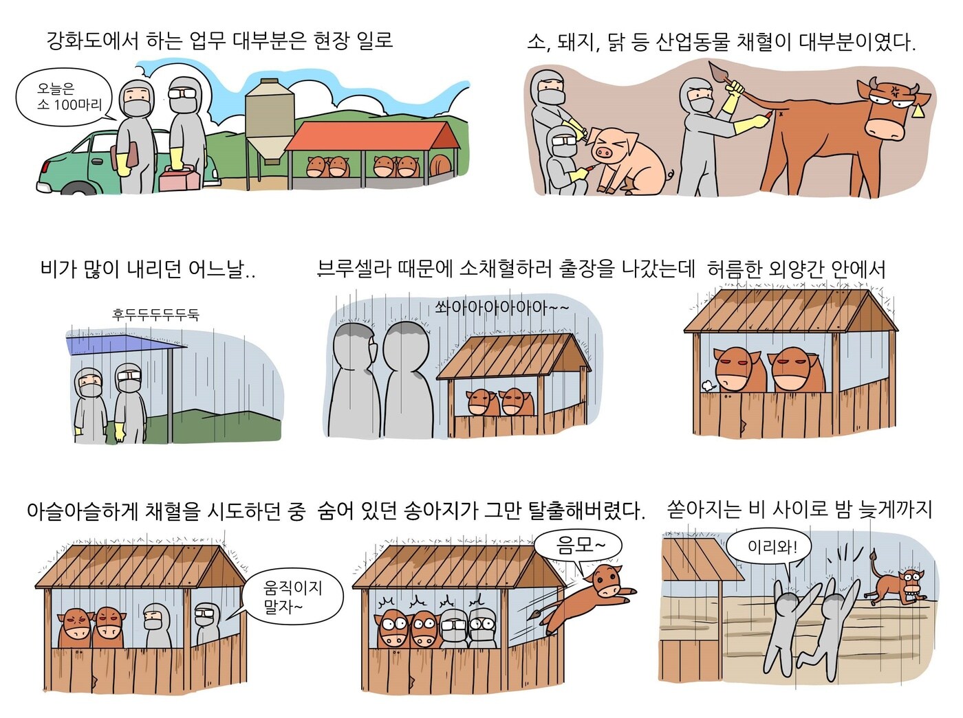 베토리(정철 수의사 제공) ⓒ 뉴스1