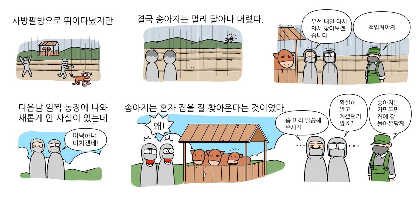 베토리(정철 수의사 제공) ⓒ 뉴스1