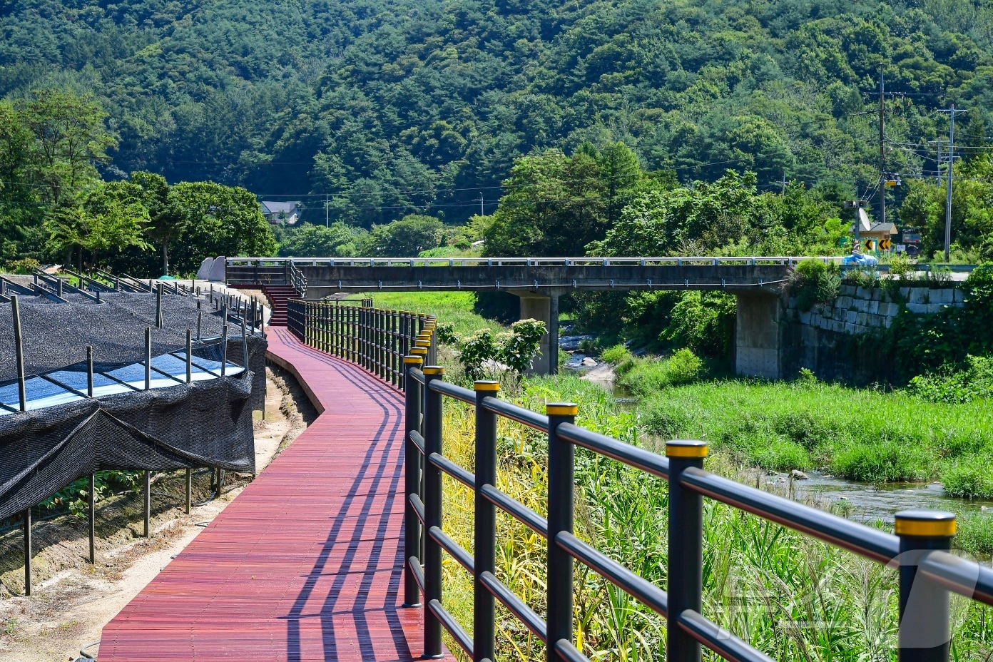 강원 횡성군이 이달 영화 ‘님아 그 강을 건너지 마오’로 알려진 청일면 고시리에 새로운 산책로를 만들어 개방했다. (횡성군 제공) 2024.8.24/뉴스1