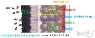 역삼투압을 이용한 양이온막 이산화탄소 전환 성능 원리. (KIST 제공)/뉴스1