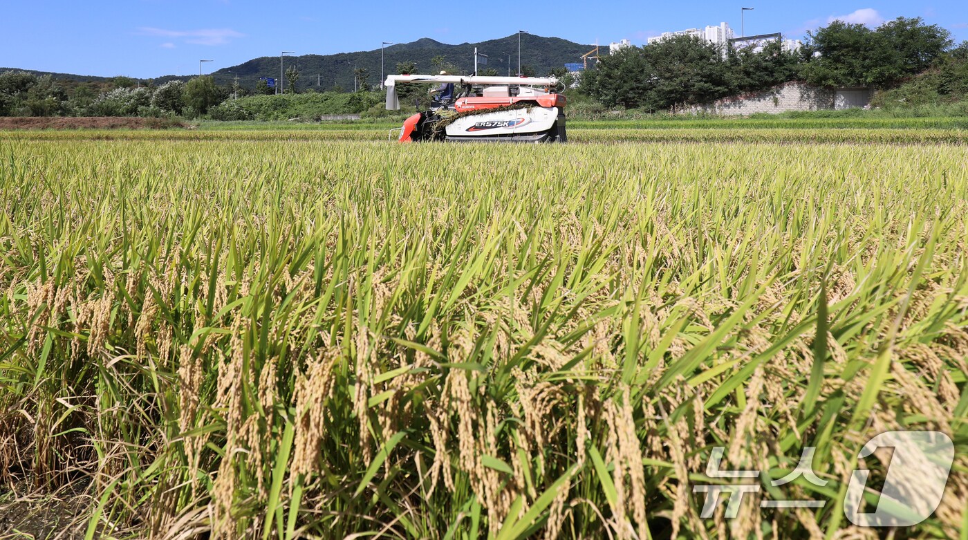(사진은 기사 내용과 무관함) / 뉴스1 ⓒ News1