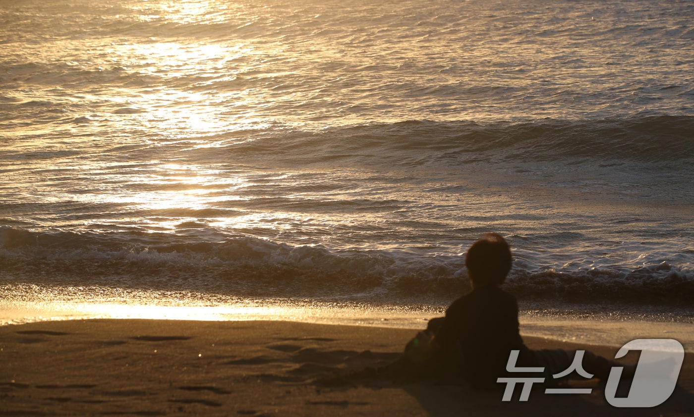 제주 해수욕장(자료사진)/뉴스1